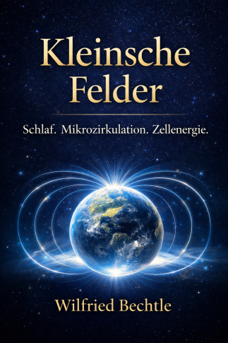 Kleinsche Felder