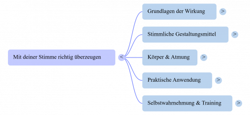 Mit-deiner-Stimme-richtig-ueberzeugen-Mind-Map.png
